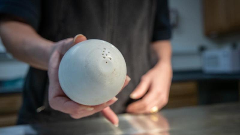 A smart condor egg in a hand