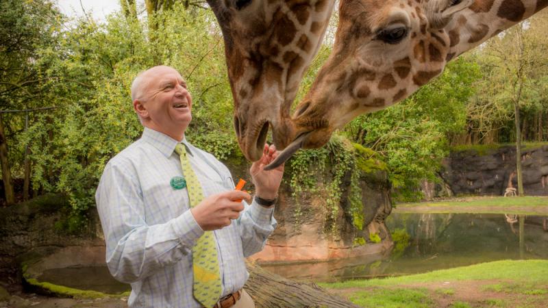 Dr. Don Moore feeds the giraffes