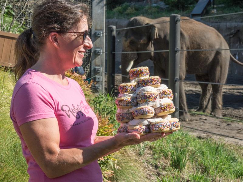 A woman in a pink shirt and sunglasses holds a large stack of ice cream sandwiches. In the background, on the other side of a fence, stands an elephant.