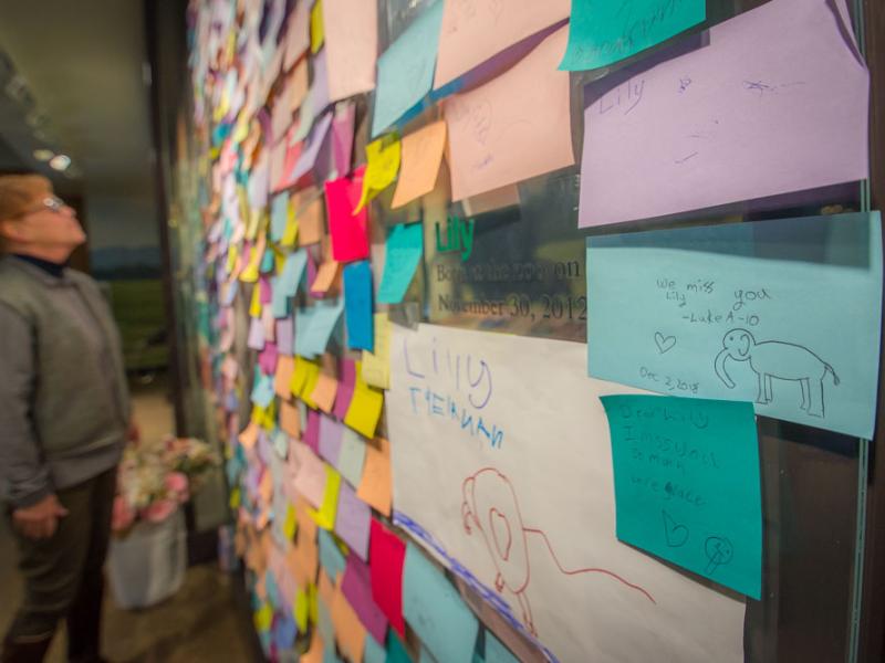 A wall filled with sticky notes shows hand drawn messages for Lily, an elephant who died. In the background, a blurred person stands reading the notes.