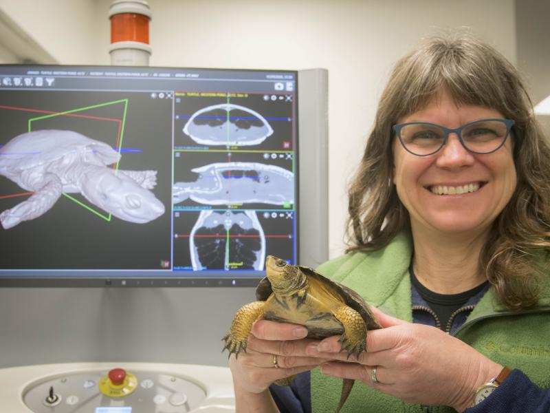 Veterinary technician Margot Monti and a western pond turtle