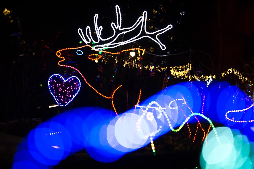 Brew Lights SOLD OUT Oregon Zoo