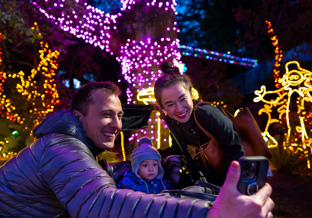 oregon zoo lights discount code reddit groupon