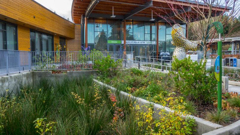 Flow-through planters designed to capture and manage water at the Oregon Zoo's Education Center.