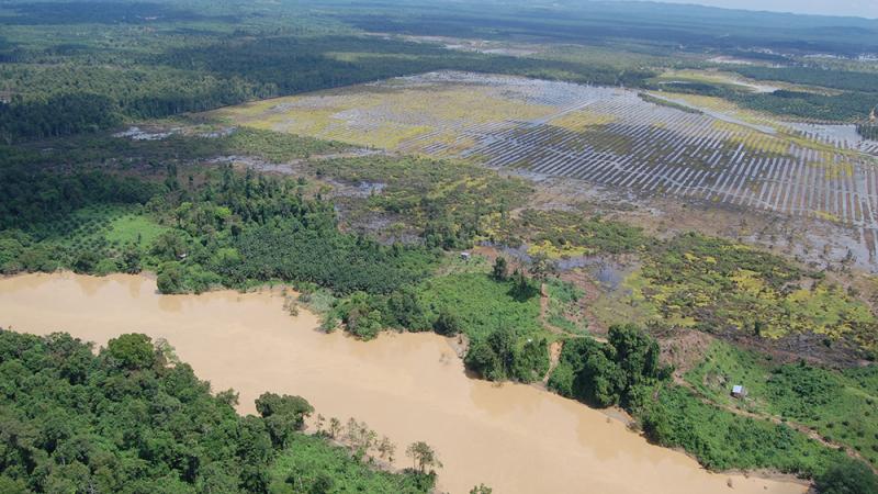 Aerial image of reforestation in Borneo.