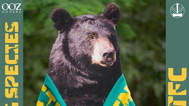 A black bear cutout wears a Timbers scarf. 