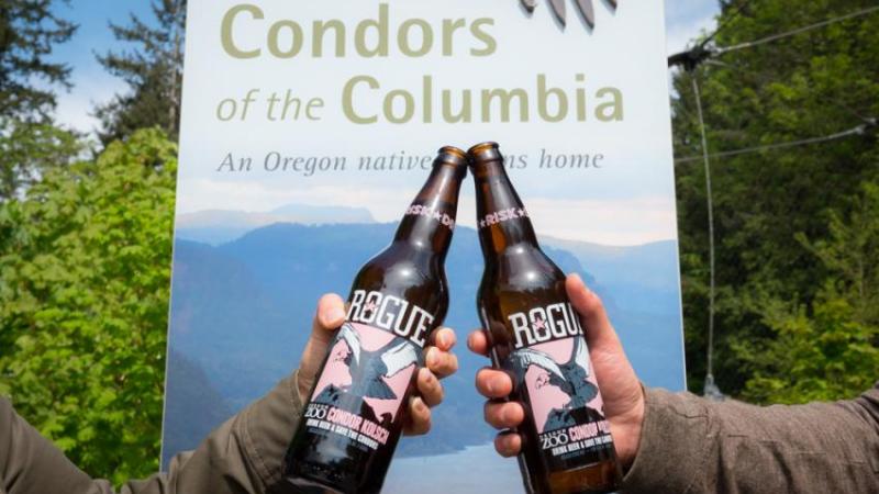 Rogue's new Condor Kolsch