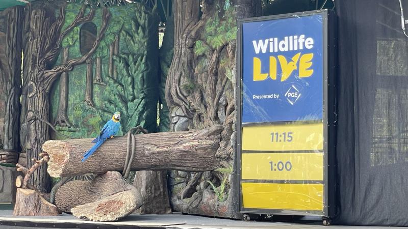 Wildlife Live animal encounter staging with a blue and yellow sign and a blue parrot.