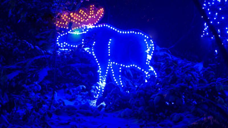 moose light sculpture at zoo