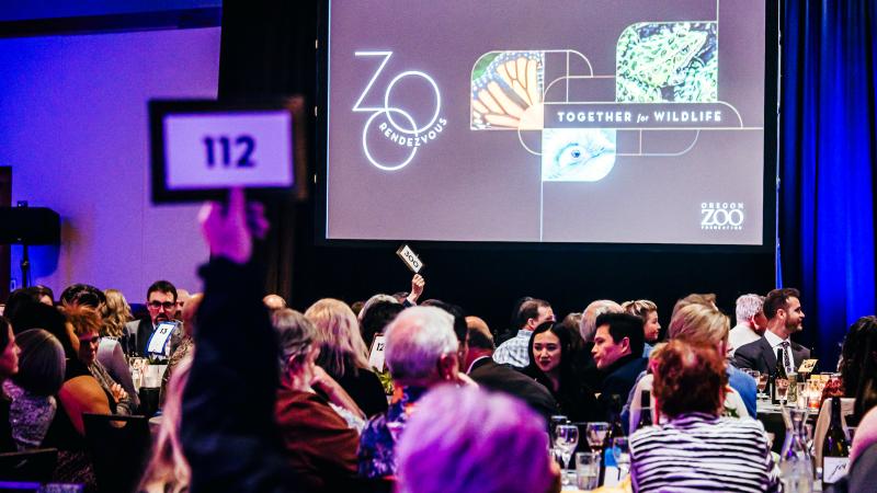 Oregon Zoo ballroom during Zoo Rendezvous gala