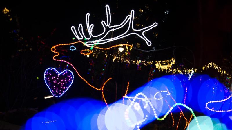 stag light sculpture at brew llights