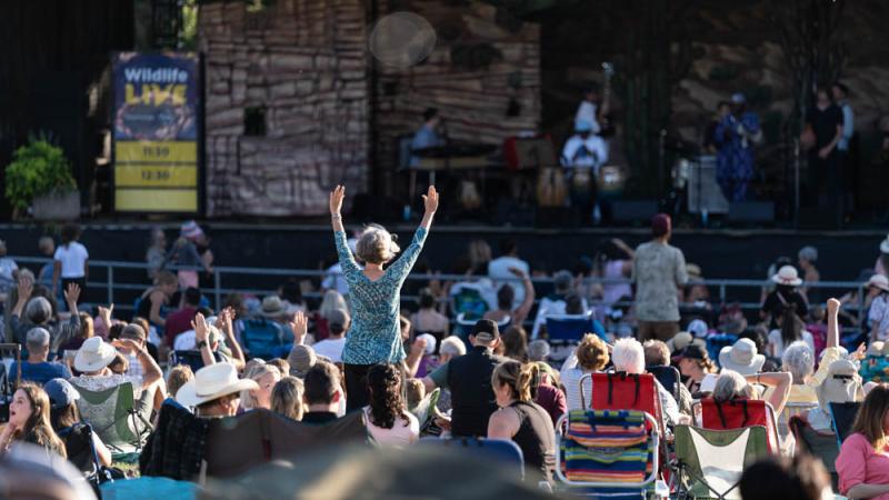 A crowd listens to music on the concert lawn. 