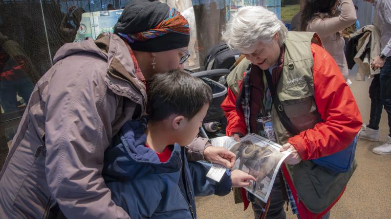 volunteer talking to family about elephants