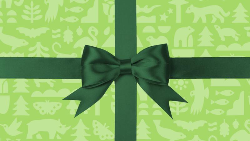 pattern with zoo animals wrapped with ribbon