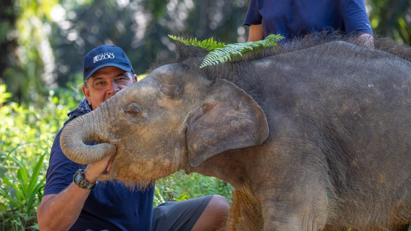 Oregon Zoo keeper outside with an elephant calf