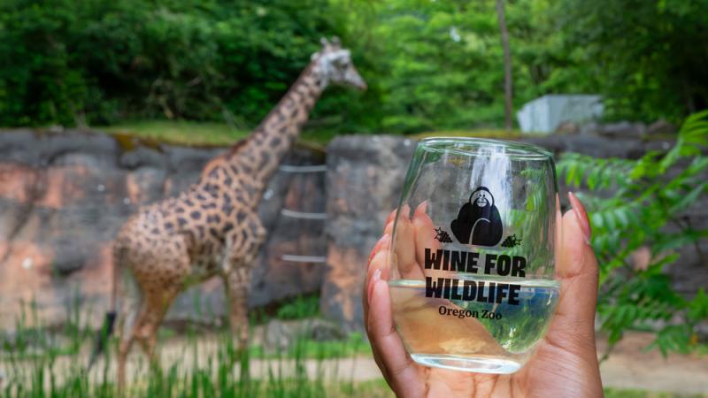 women holding a glass of wine with giraffe in background