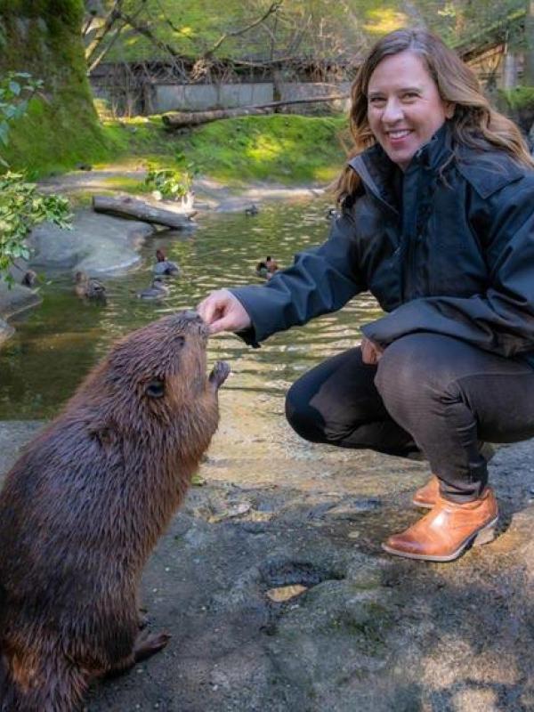 Zoo director Heidi Rahn kneels in front of an American beaver as she hands it a snack. They are on the rocky beach inside the Cascade Stream beaver habitat, with many ducks swimming in the water behind them. 