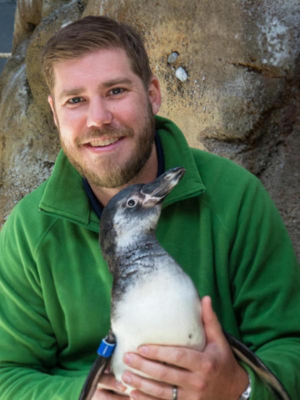 Travis Koons holding a penguin at Oregon Zoo