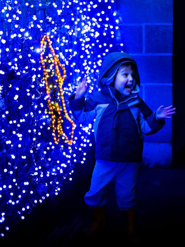 Boy at light landscape at Zoo Lights