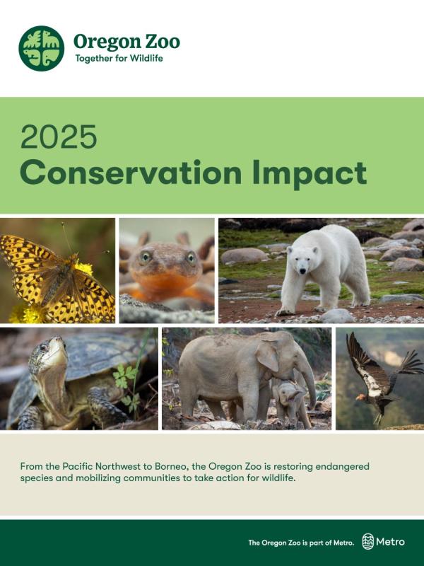 report cover