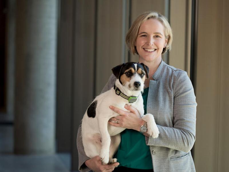 Dr. McAllister, chief medical officer at Banfield Pet Hospital
