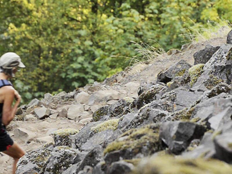 A hiker is walking up a trail, facing away from the camera. 