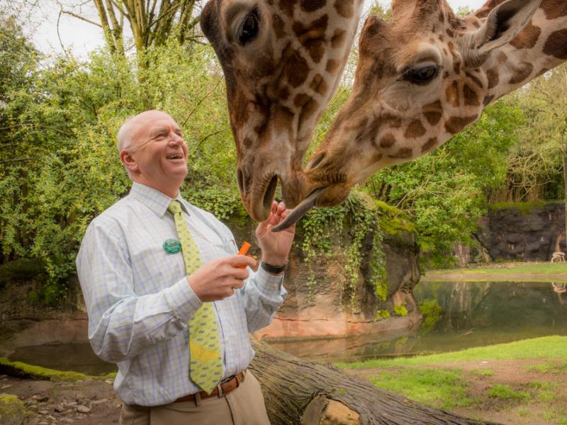 Dr. Don Moore feeds the giraffes