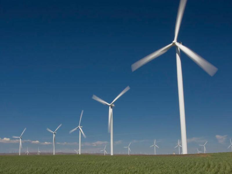 Three-bladed windmills turn on an open plain.