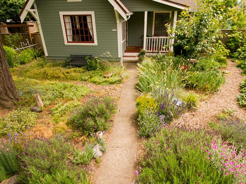 The garden of a small house has a variety of plants, but no lawn.