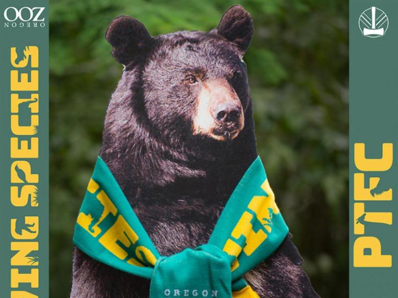 A black bear cutout wears a Timbers scarf. 