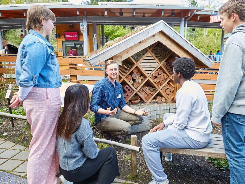 An educator from Oregon Zoo sits with four youth in front of a mason bee exhibit in the zoo wildlife garden.
