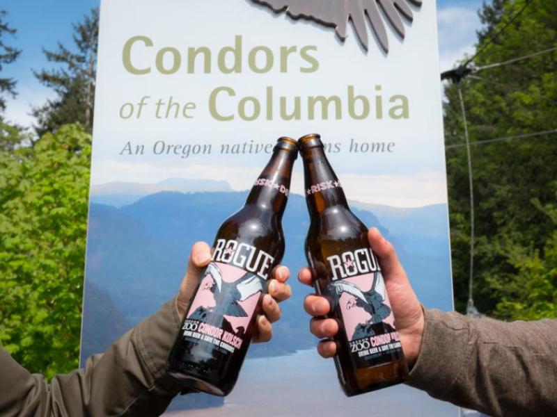 Rogue's new Condor Kolsch