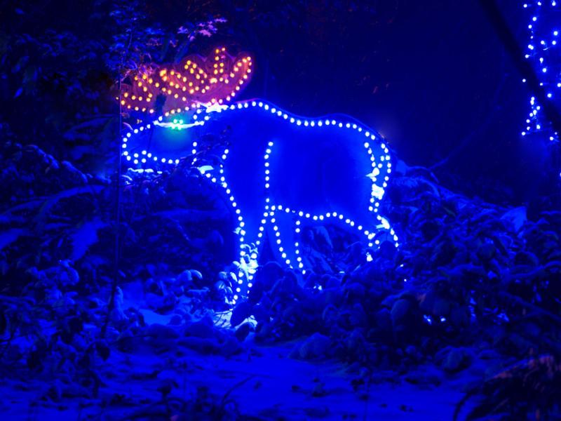 moose light sculpture at zoo