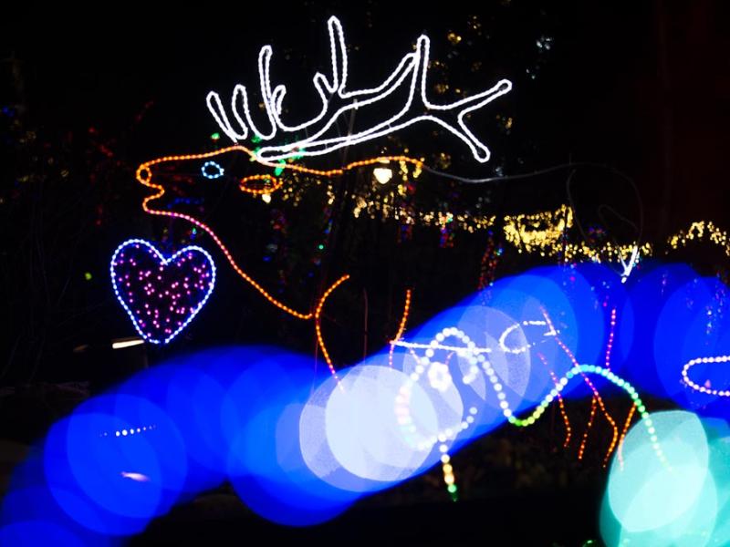 stag light sculpture at brew llights