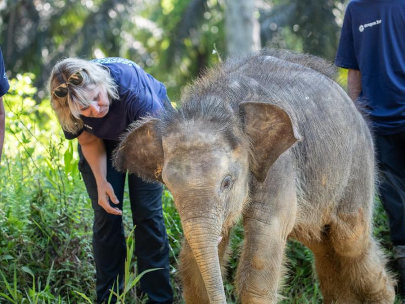Sharon Glaeser outside with a young elephant calf