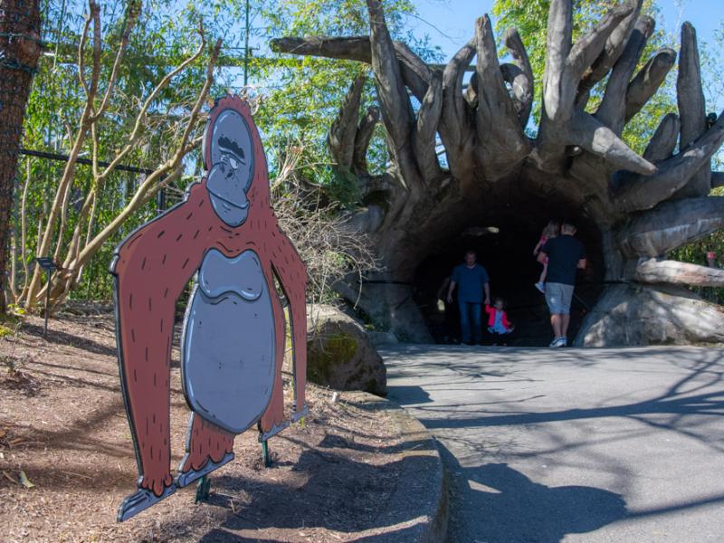 An orangutan cutout at the zoo