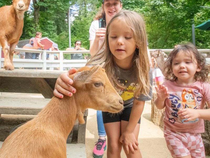two kids an adult pet two goats outside at the zoo