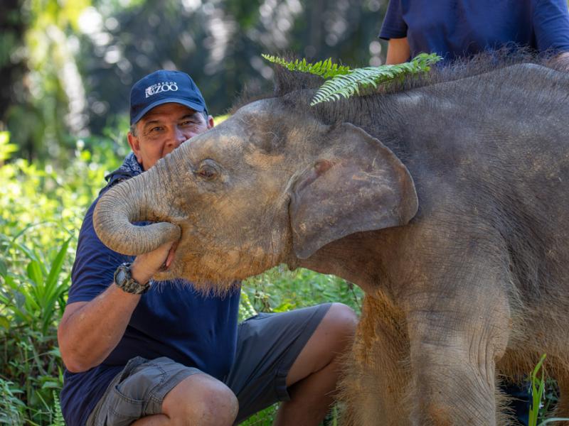 Oregon Zoo keeper outside with an elephant calf