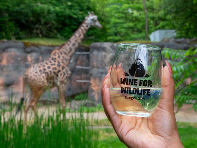women holding a glass of wine with giraffe in background
