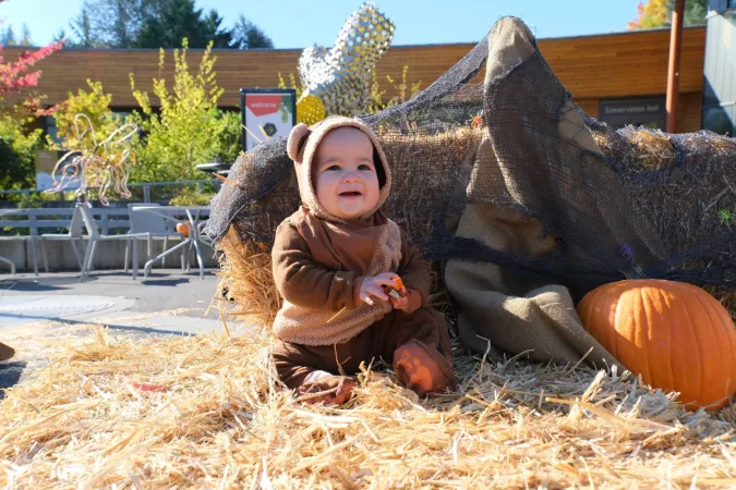 baby dressed as an Ewok