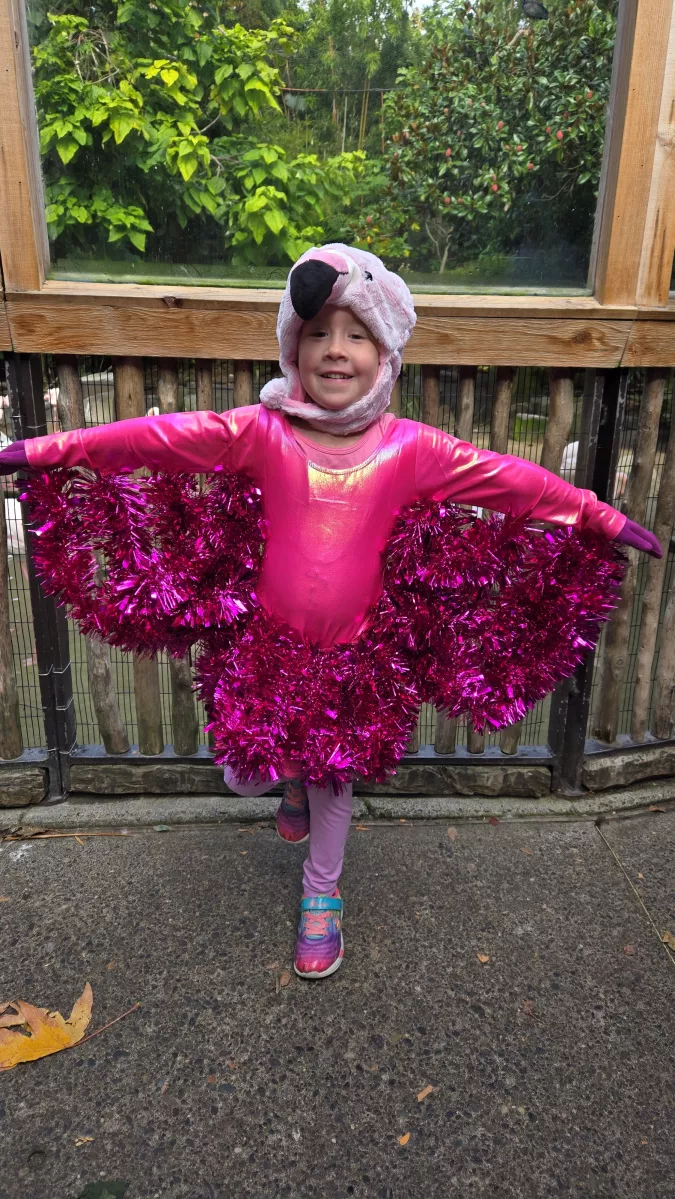 A child dressed in a bright pink flamingo costume with pompoms, smiling widely in a zoo setting.