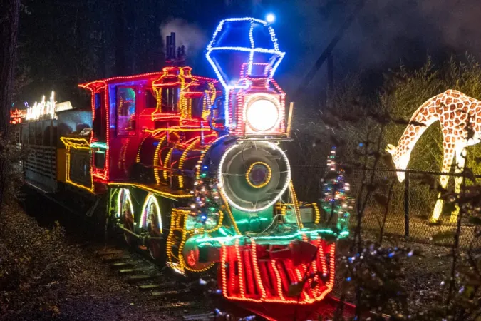 steam train fitted with holiday lights and giraffe-shaped lantern in background