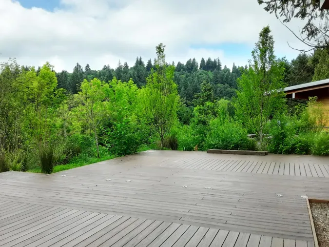 Wildlife Garden Patio with trees in background